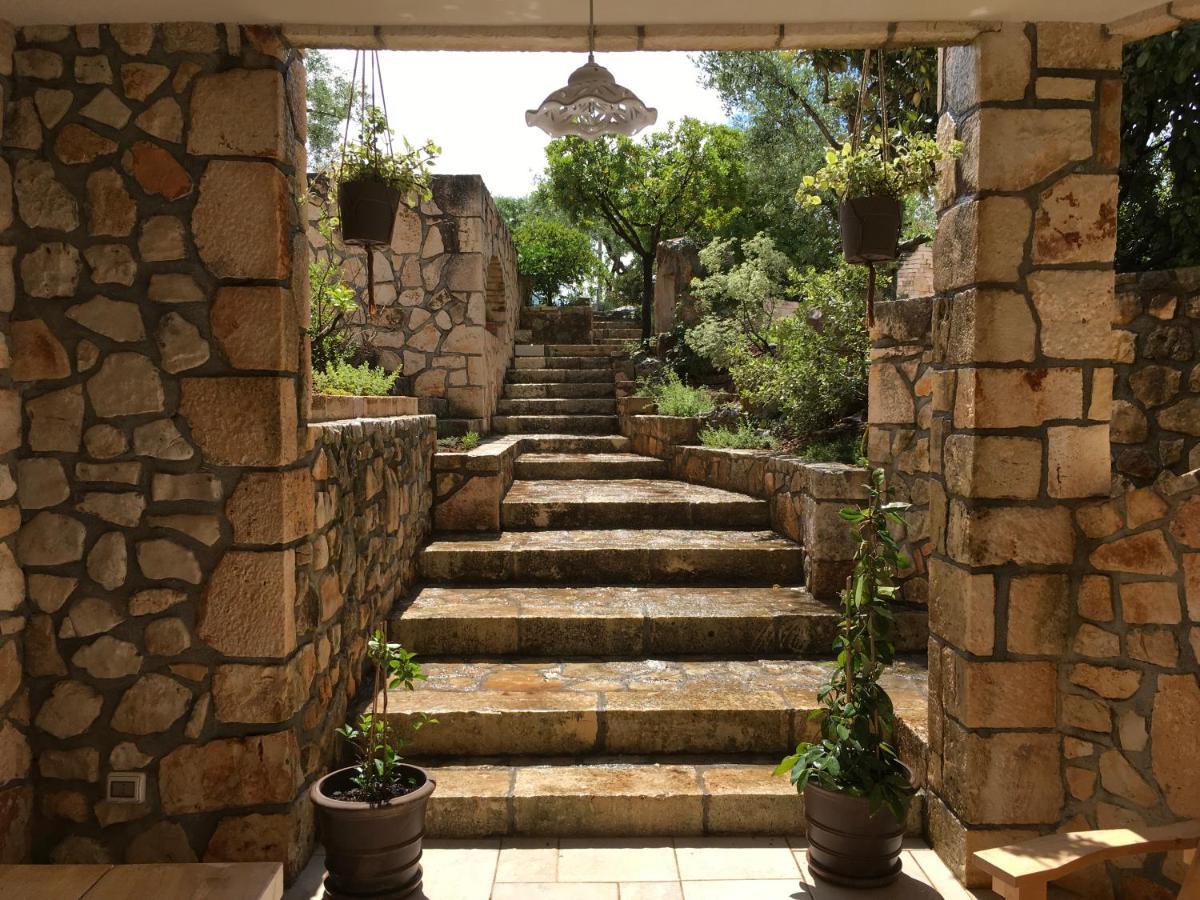 Bed and Breakfast Casa Zucchetta Locorotondo Exterior foto